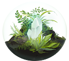 A glass globe, containing some ferns, moss, and a quartz crystal.